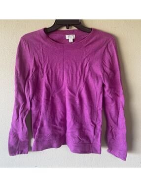 j crew xs sweater Pink Long Sleeve Teddie (B/3)